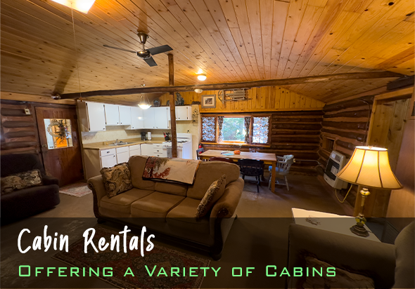 Mio Michigan Cabin Rentals