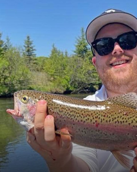 AuSable River Rainbow Trout