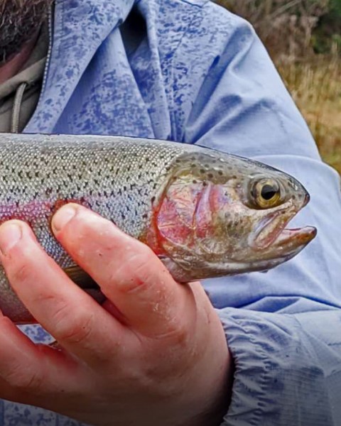 Happy Fisherman